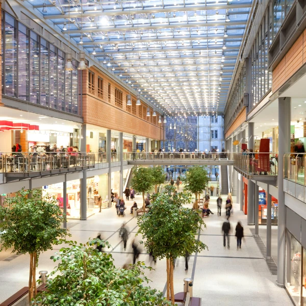 El rol de los Centros Comerciales en el desarrollo económico de Argentina